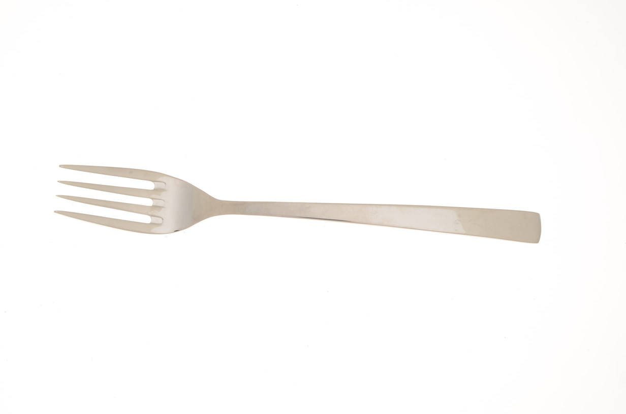 Aurora (Stainless) Fork
