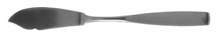 BAG4 (STAINLESS) Flat Handle Master Butter Knife