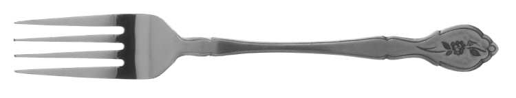 BAG5 (STAINLESS) Fork