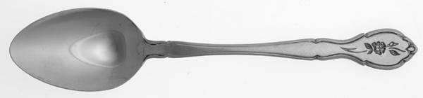 BAG5 (STAINLESS) Teaspoon
