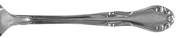 BSC1 (STAINLESS) Teaspoon