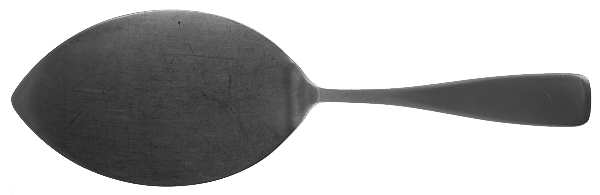Centa (Stainless) All Stainless Pie Server