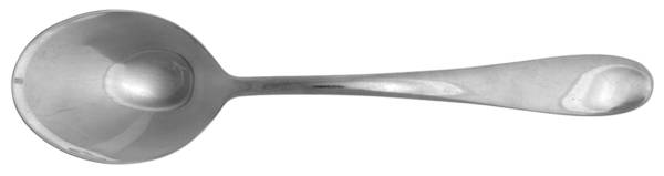 Gourmet (Stainless) Solid Serving Spoon, Oversized