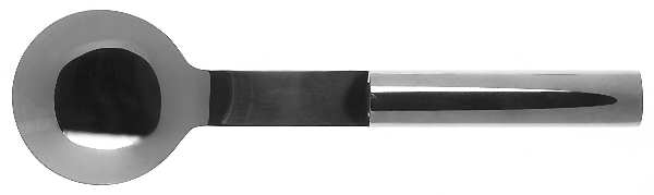 Oval Steel (Stainless, Glossy) Solid Serving Spoon
