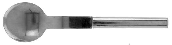Oval Steel (Stainless, Glossy) Sugar Spoon