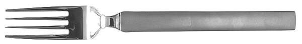 Zenit (Stainless, Matte) Fork