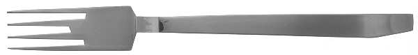 BIW1 (STAINLESS) Fork