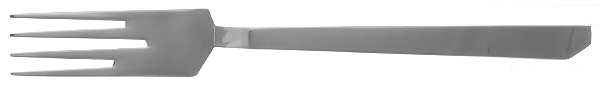 BIW1 (STAINLESS) Individual Salad Fork