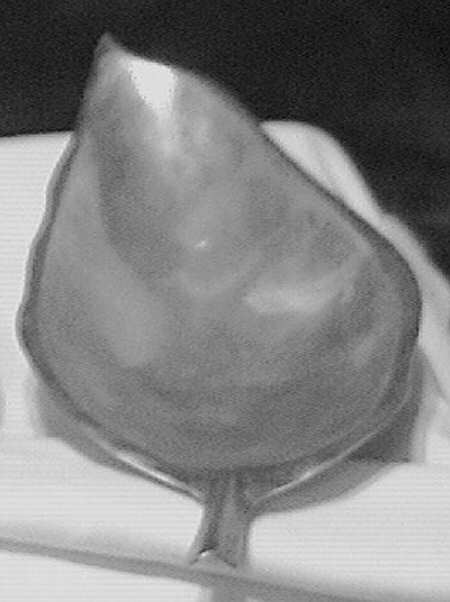 10 (Sterling, Hollowware) 8" Sterling Bon Bon Bowl