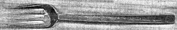 B2N3 (Stainless) Individual Salad Fork
