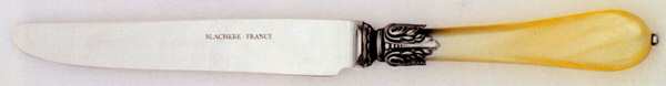 Chambord (Stainless) New French Solid Knife