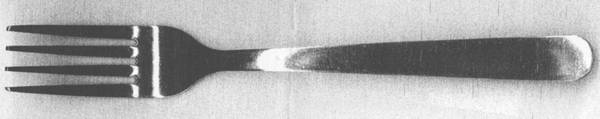 B3Z1(Stainless) Fork