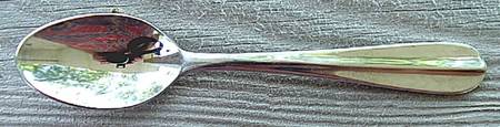 B9C1 (Stainless) Teaspoon