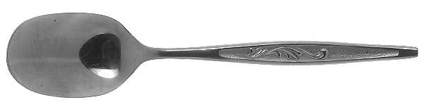CAS1 (STAINLESS) Sugar Spoon