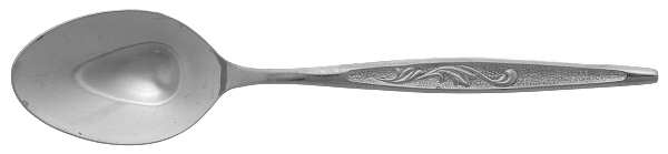 CAS1 (STAINLESS) Teaspoon