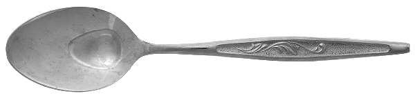 CAS1 (STAINLESS) Place/Oval Soup Spoon