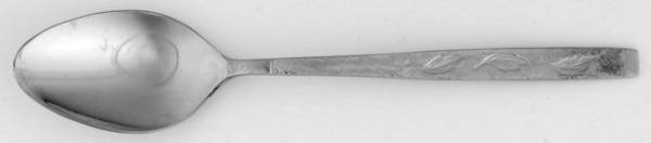 CAS2 (STAINLESS) Teaspoon
