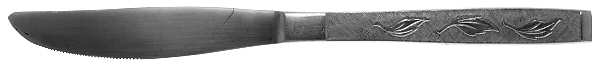 CAS2 (STAINLESS) Modern Solid Knife