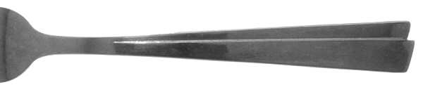 Celeste (Stainless) by Cambridge Silver
