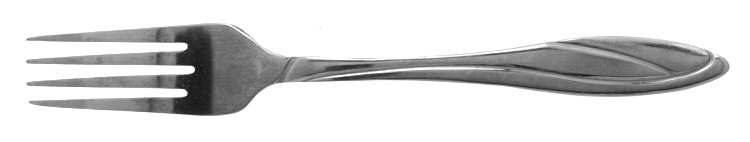 Sierra (Stainless) Fork