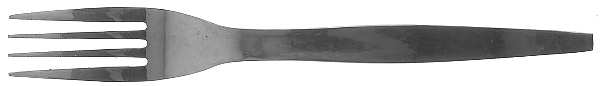 Vera (Stainless) Fork