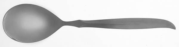 CCS10 (STAINLESS) Solid Salad Serving Spoon