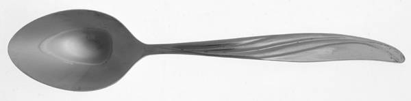 CCS2 (STAINLESS) Teaspoon by Castle Court