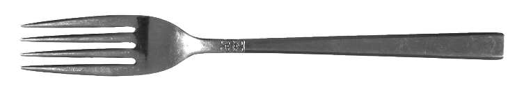 CCS3 (STAINLESS) Fork