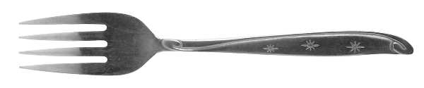 CCS5 (STAINLESS) Individual Salad Fork