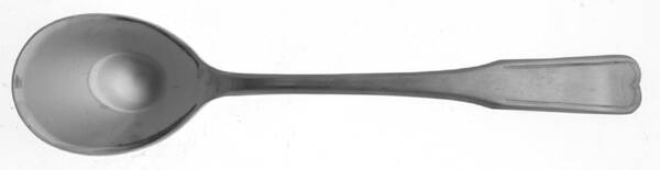 CCS6 (STAINLESS) Sugar Spoon