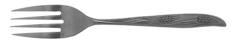 CCS7 (STAINLESS) Individual Salad Fork