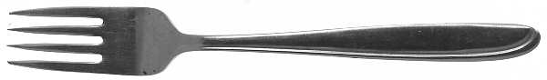 Cg3 (Stainless) Fork
