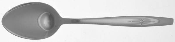Cg8 (Stainless) Place/Oval Soup Spoon
