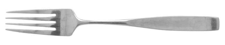 CLF19 (STAINLESS) Fork