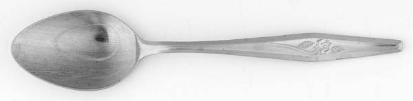 Spritely Rose (Stainless) Teaspoon