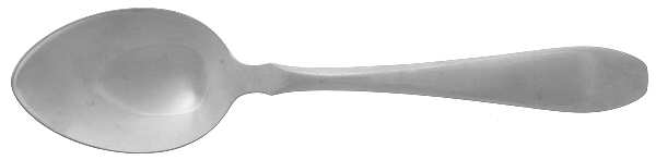 COH5 (STAINLESS) Solid Serving Spoon