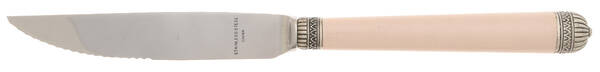 Carthage-Ivory (Stainless) Steak Knife Individual Hollow, Serrate HC