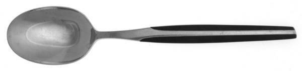 CSM1 (STAINLESS) Teaspoon