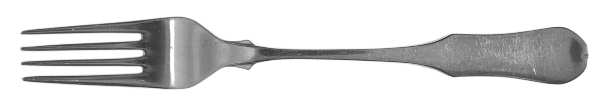 CSM15 (STAINLESS) Fork