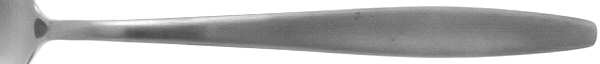 CSO2 (STAINLESS)