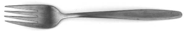 CSO2 (STAINLESS) Fork