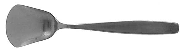 Consul (Stainless) Sugar Spoon