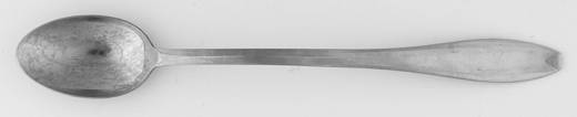 Bright Dawn (Stainless) Iced Tea Spoon