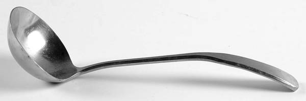 CSS14 (STAINLESS) Solid Gravy Ladle