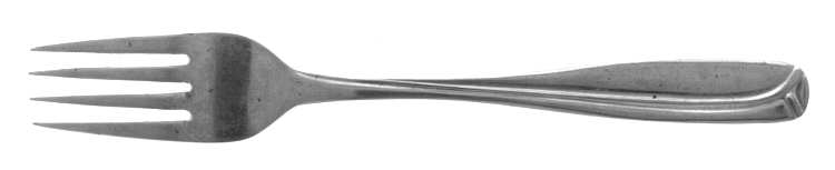 CSS2 (STAINLESS) Fork