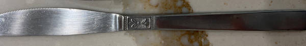 CSS21 (STAINLESS) Modern Solid Knife