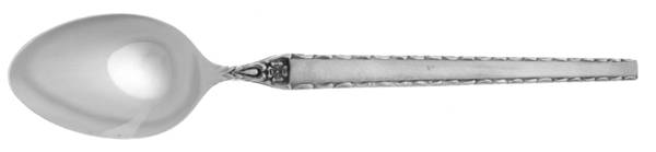 CSS23 (STAINLESS) Teaspoon