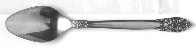 CSS25 (STAINLESS) Teaspoon