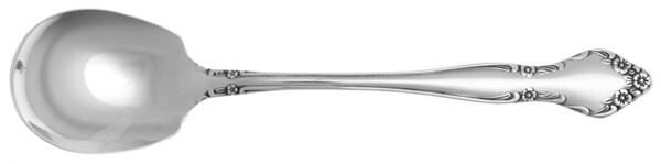 CSS7 (STAINLESS) Sugar Spoon