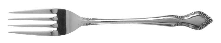 CSS7 (STAINLESS) Fork